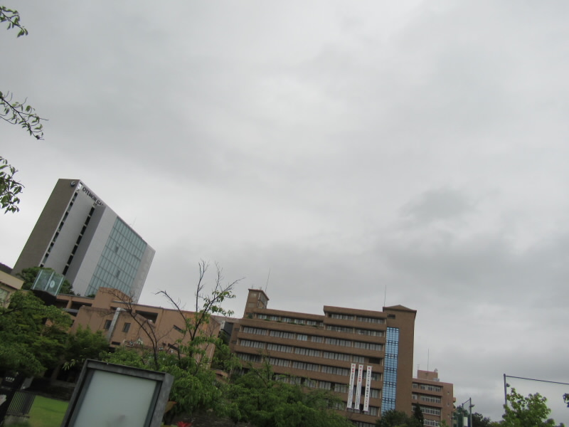 f:id:fjosh524:20190722065554j:plain f:id:fjosh524:20190722065554j:plain