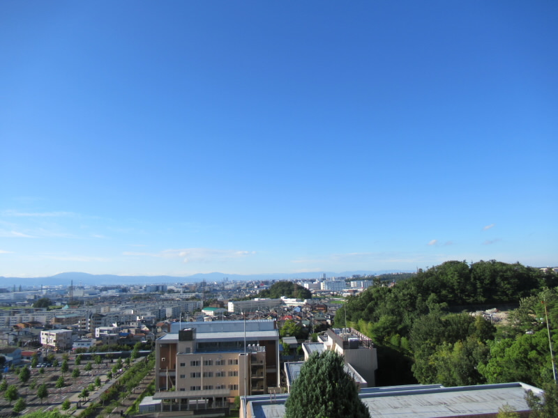 f:id:fjosh524:20190805070630j:plain