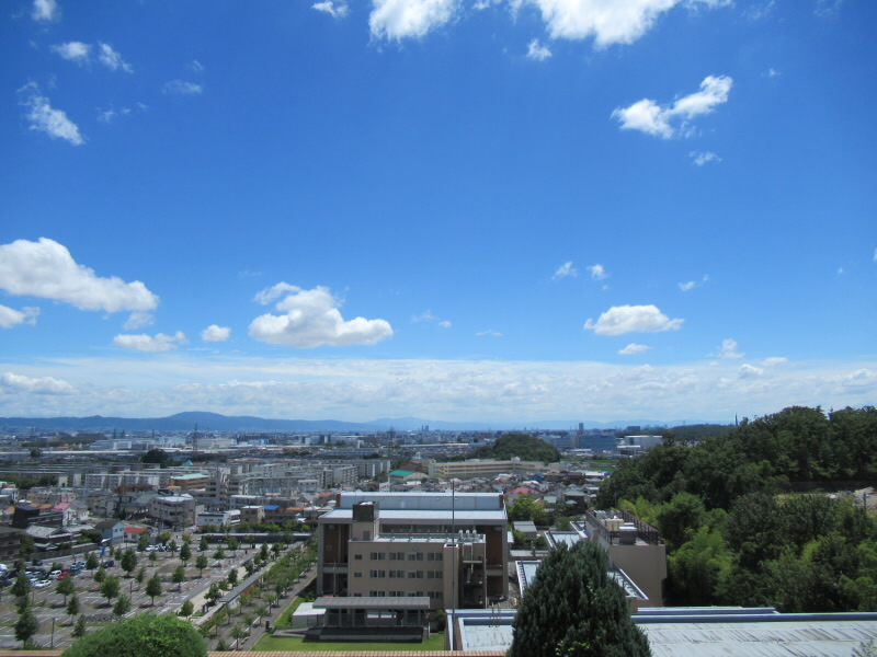 f:id:fjosh524:20190805124914j:plain