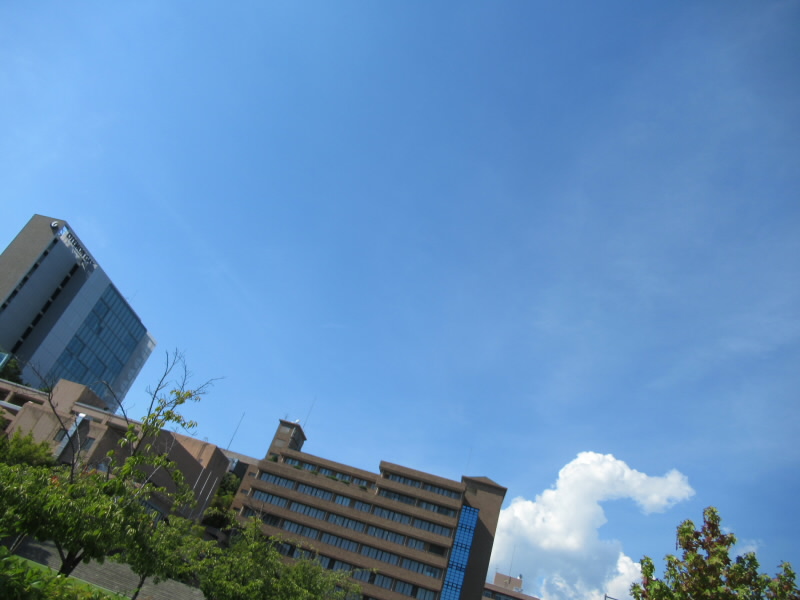 f:id:fjosh524:20190909143913j:plain