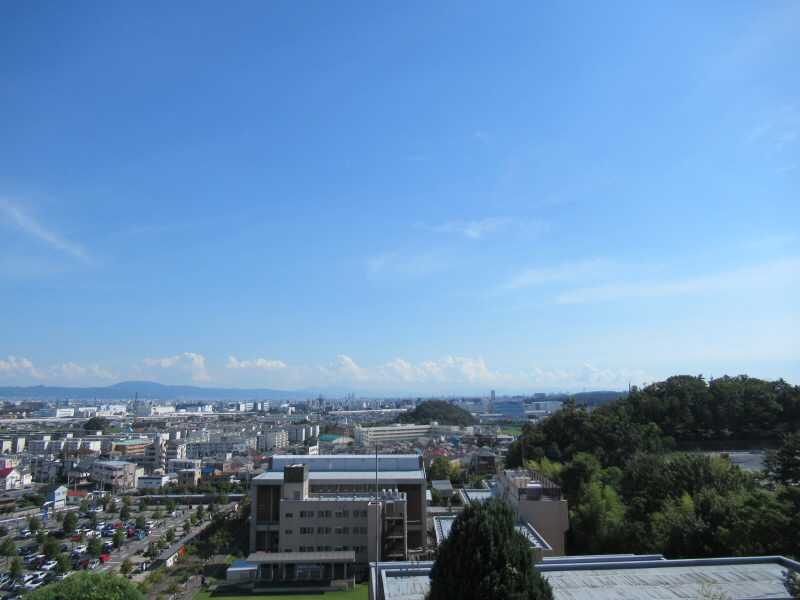 f:id:fjosh524:20190909144336j:plain