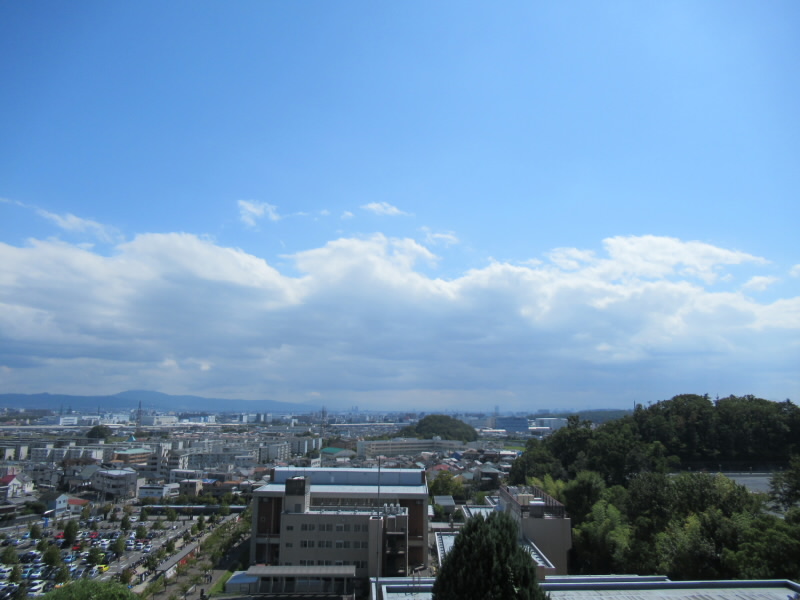 f:id:fjosh524:20190918130920j:plain