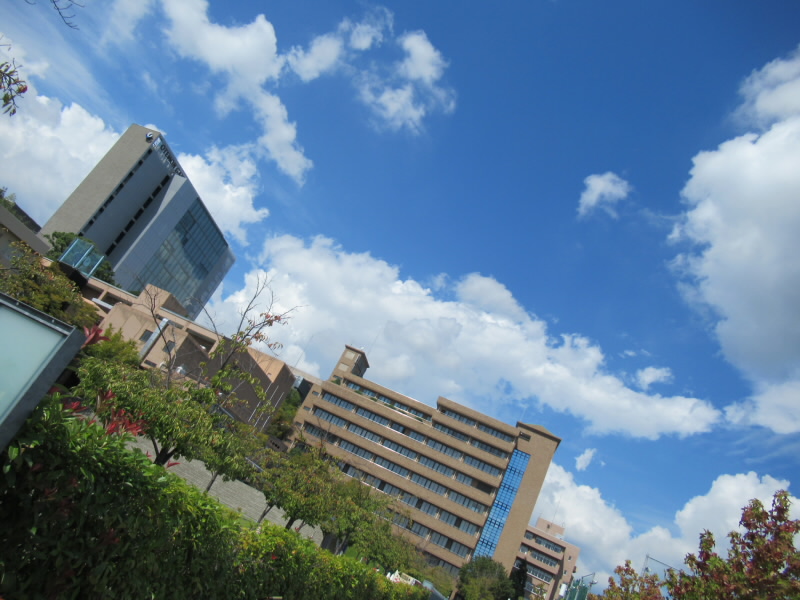 f:id:fjosh524:20191001121037j:plain f:id:fjosh524:20191001121037j:plain