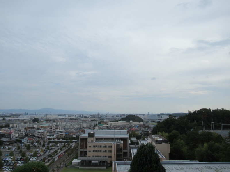 f:id:fjosh524:20191002144900j:plain f:id:fjosh524:20191002144900j:plain