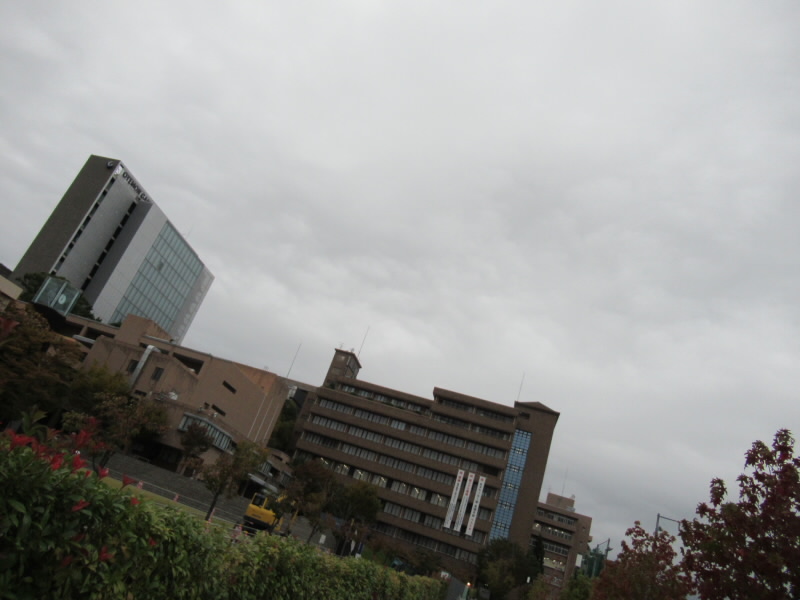 f:id:fjosh524:20191021070210j:plain
