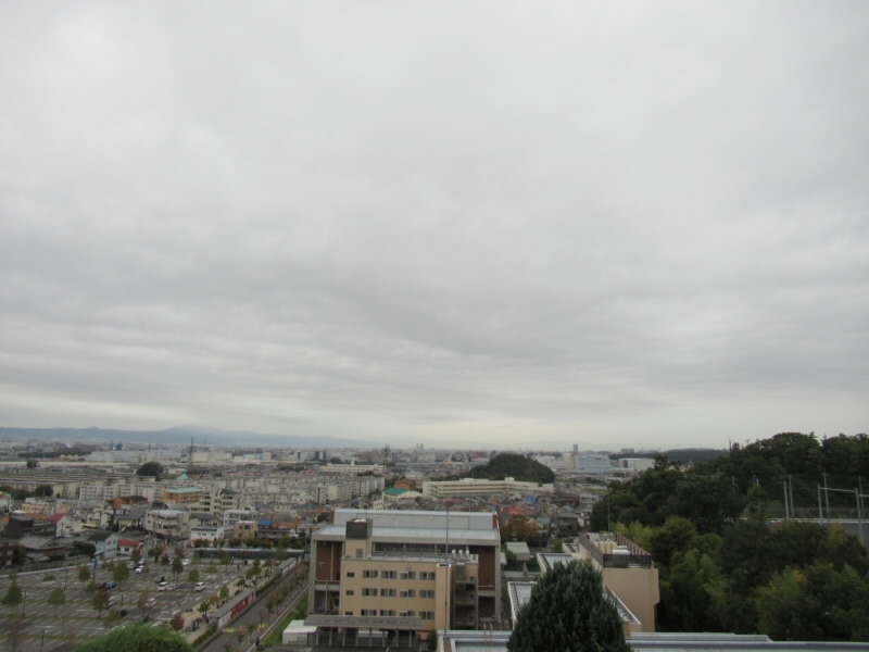 f:id:fjosh524:20191021070737j:plain