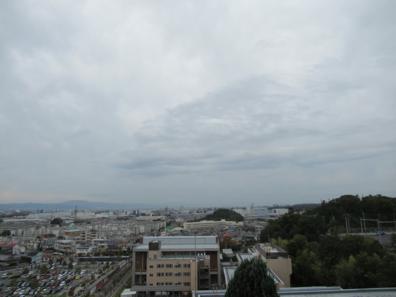 f:id:fjosh524:20191021130152j:plain