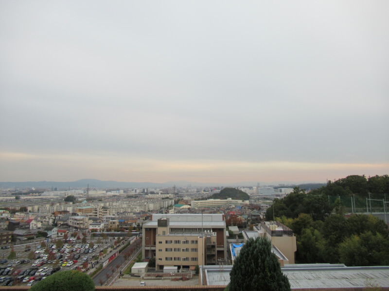 f:id:fjosh524:20191107160358j:plain