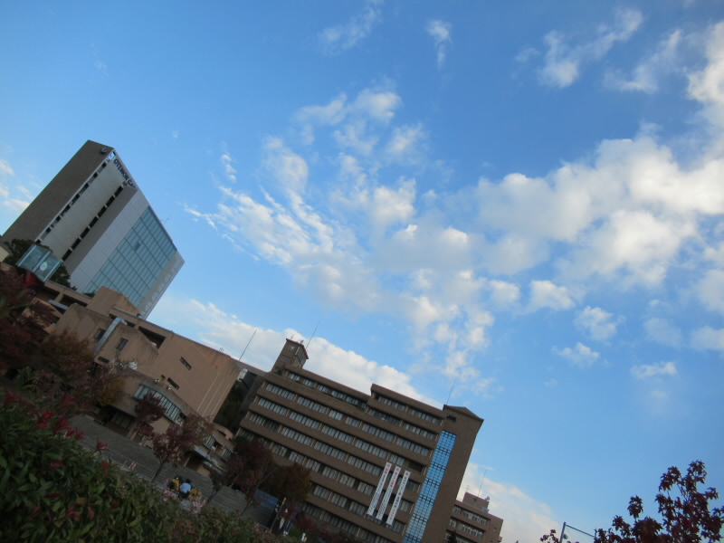 f:id:fjosh524:20191111071653j:plain f:id:fjosh524:20191111071653j:plain