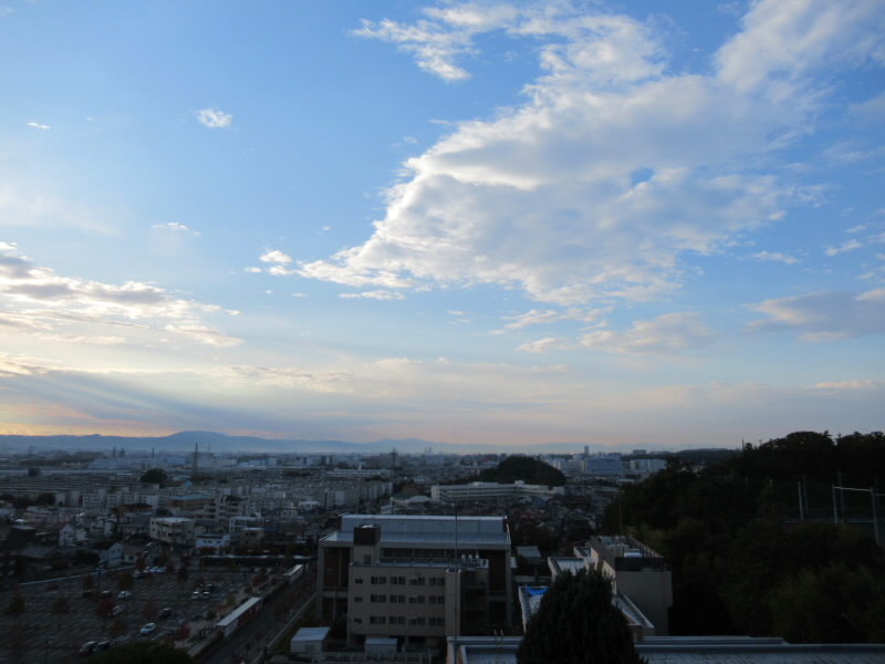 f:id:fjosh524:20191111072213j:plain f:id:fjosh524:20191111072213j:plain