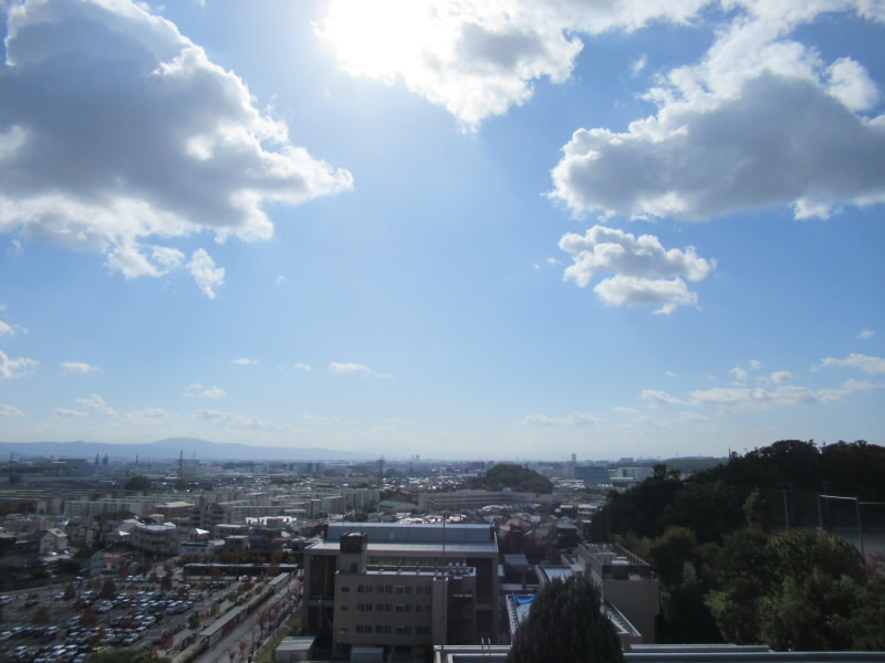 f:id:fjosh524:20191112105151j:plain