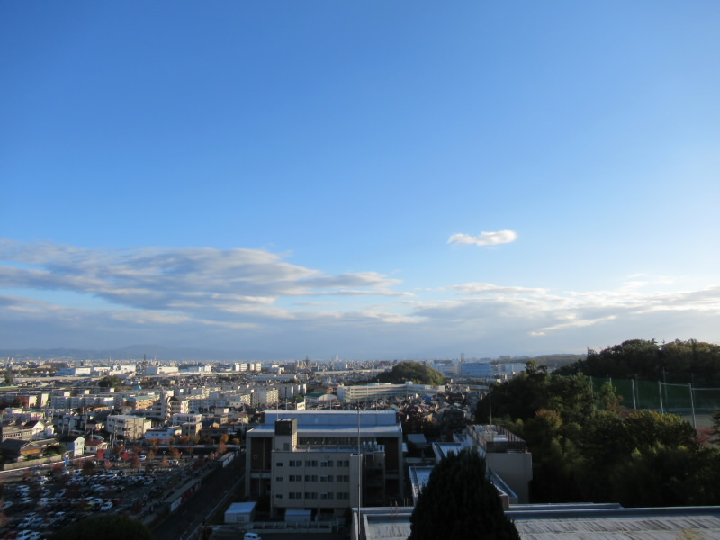 f:id:fjosh524:20191114155451j:plain f:id:fjosh524:20191114155451j:plain