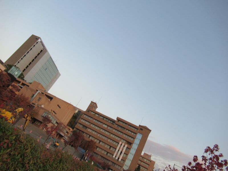 f:id:fjosh524:20191118064026j:plain