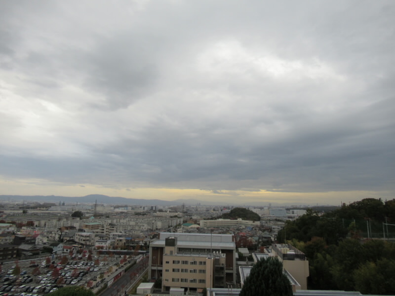 f:id:fjosh524:20191118151737j:plain