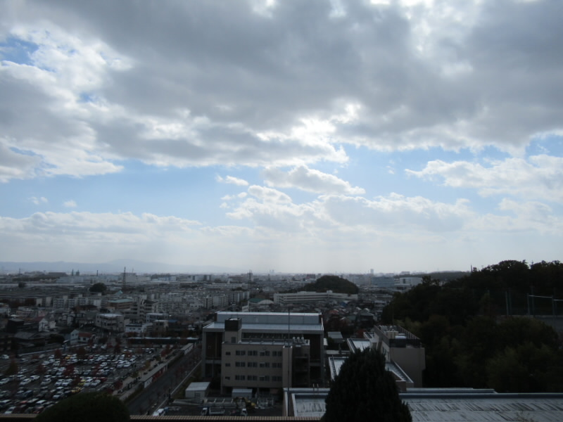 f:id:fjosh524:20191119112742j:plain