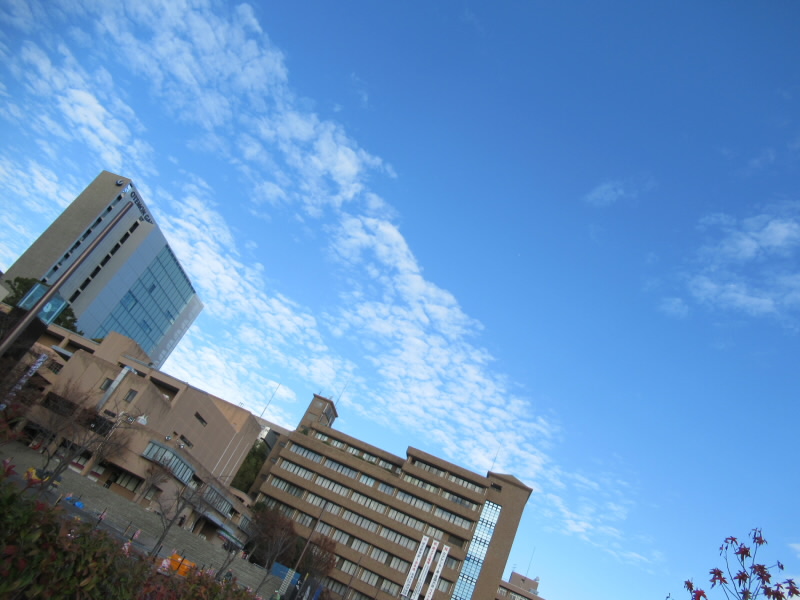 f:id:fjosh524:20191205090121j:plain f:id:fjosh524:20191205090121j:plain