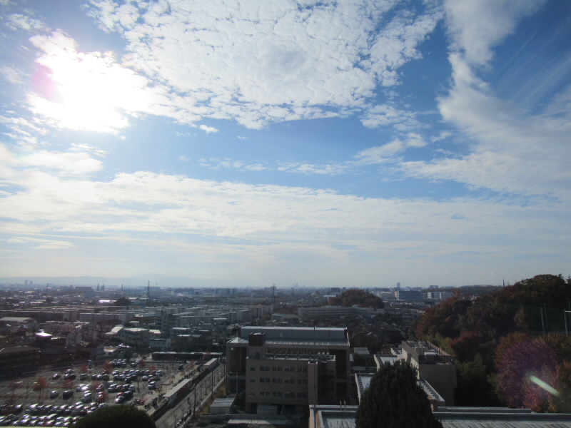 f:id:fjosh524:20191205091352j:plain f:id:fjosh524:20191205091352j:plain