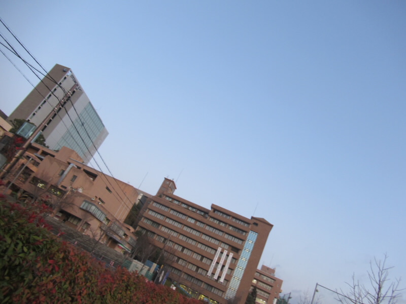 f:id:fjosh524:20200115070235j:plain