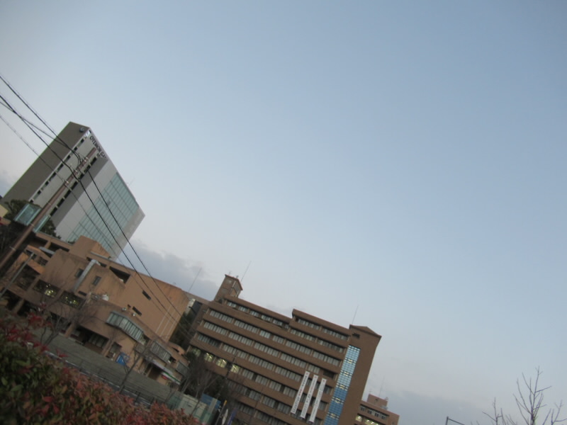 f:id:fjosh524:20200121070307j:plain