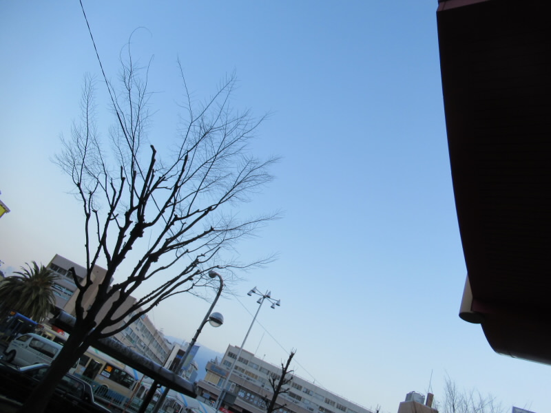 f:id:fjosh524:20200305074952j:plain