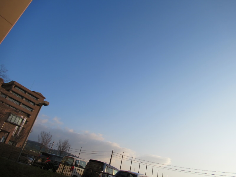 f:id:fjosh524:20200305075136j:plain