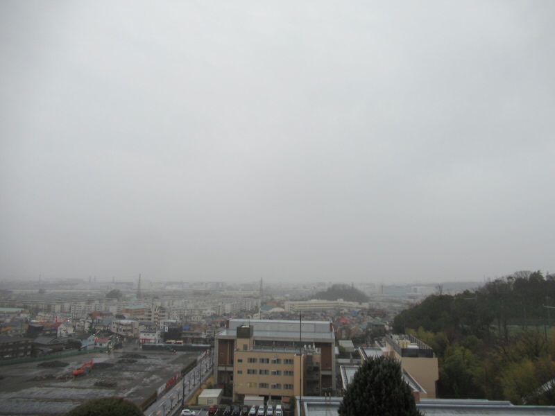 f:id:fjosh524:20200310072747j:plain