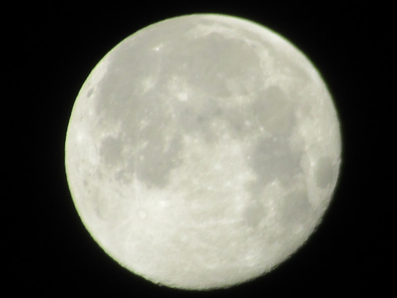 f:id:fjosh524:20200312225109j:plain