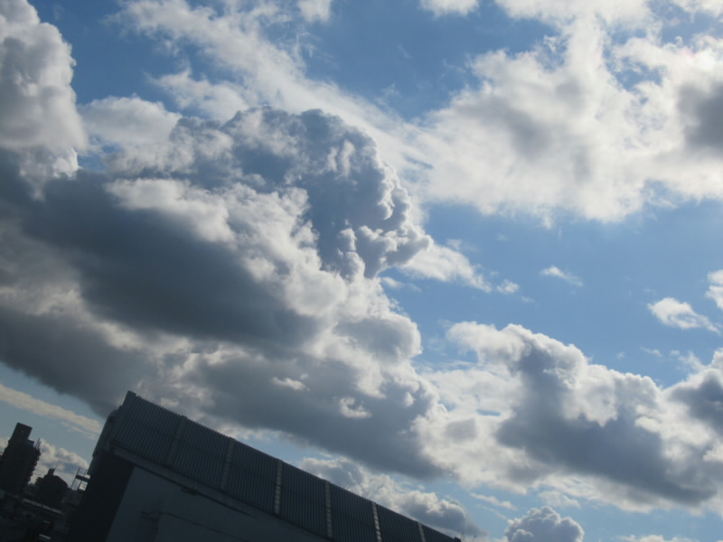 f:id:fjosh524:20200312230135j:plain