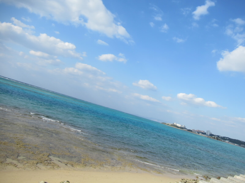 f:id:fjosh524:20200315162159j:plain