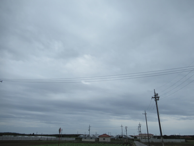 f:id:fjosh524:20200316021443j:plain
