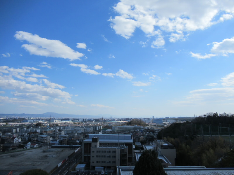 f:id:fjosh524:20200323145705j:plain