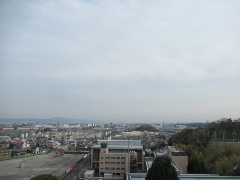 f:id:fjosh524:20200326163126j:plain