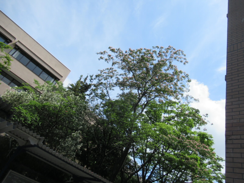 f:id:fjosh524:20200620103834j:plain