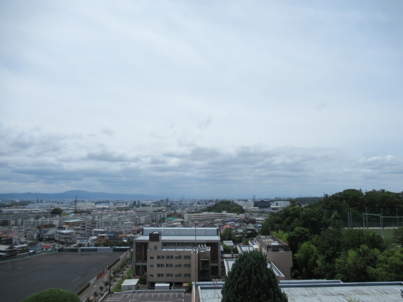 f:id:fjosh524:20200620111958j:plain