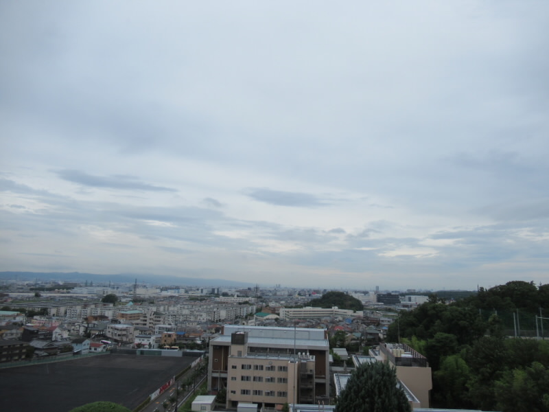 f:id:fjosh524:20200625143609j:plain