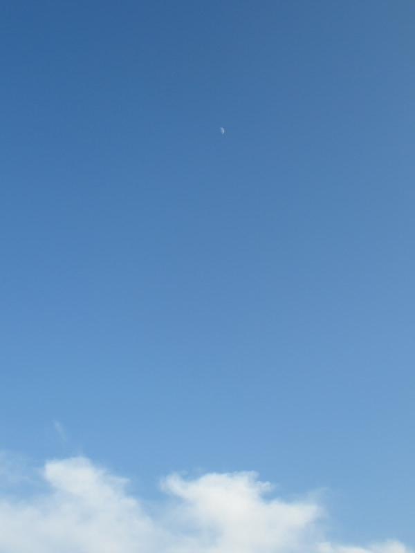 f:id:fjosh524:20200628181259j:plain