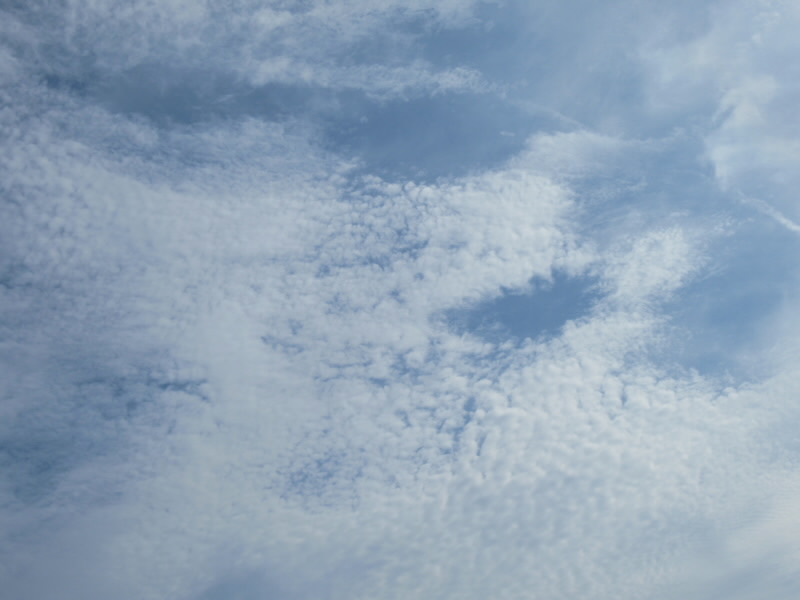 f:id:fjosh524:20200721154338j:plain f:id:fjosh524:20200721154338j:plain