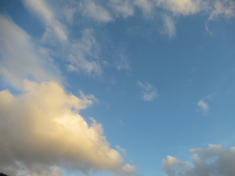 f:id:fjosh524:20200907180535j:plain