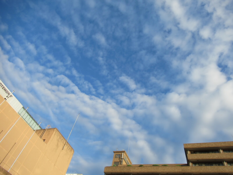 f:id:fjosh524:20201001065331j:plain f:id:fjosh524:20201001065331j:plain