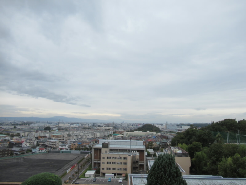 f:id:fjosh524:20201022124819j:plain