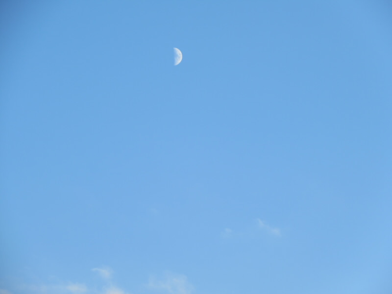 f:id:fjosh524:20201023165243j:plain