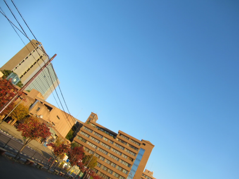 f:id:fjosh524:20201105065337j:plain f:id:fjosh524:20201105065337j:plain