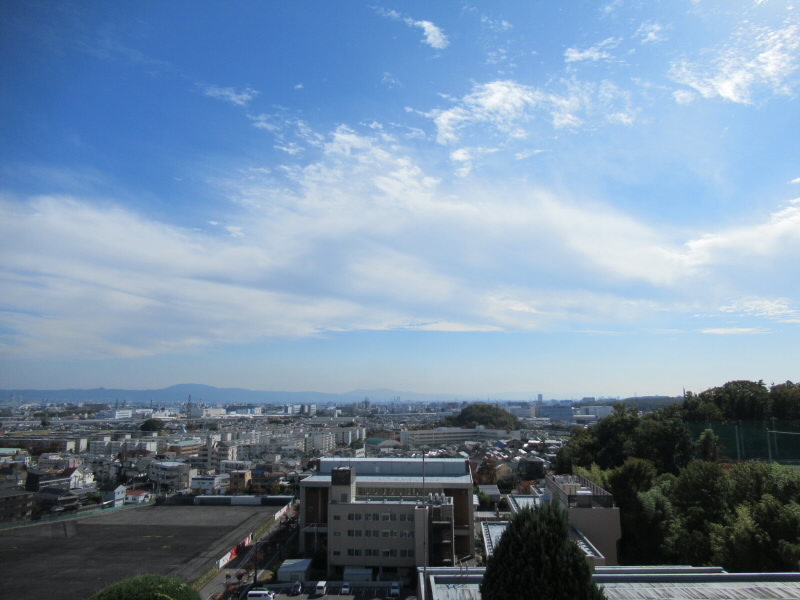 f:id:fjosh524:20201105131923j:plain f:id:fjosh524:20201105131923j:plain