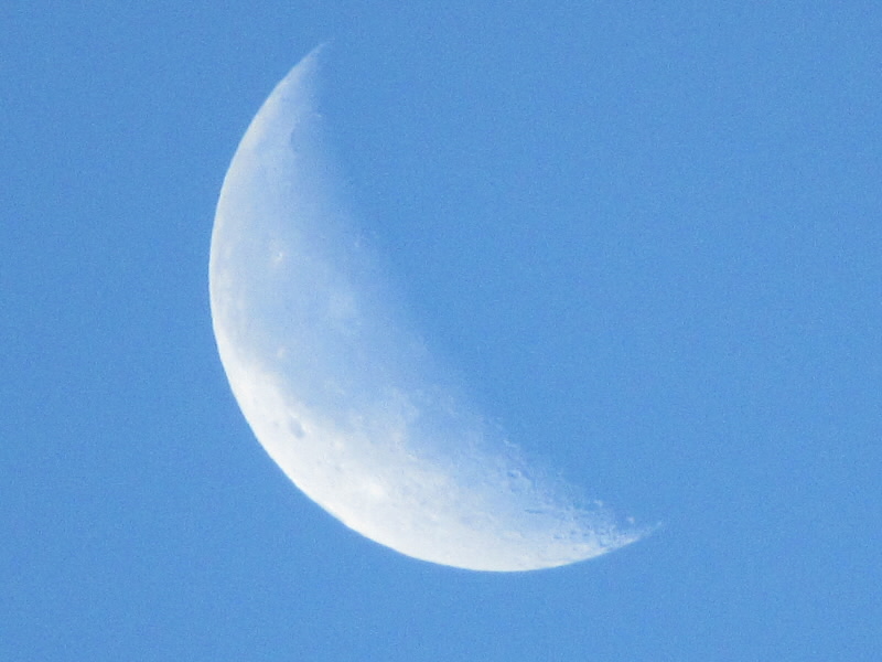 f:id:fjosh524:20201110070923j:plain f:id:fjosh524:20201110070923j:plain