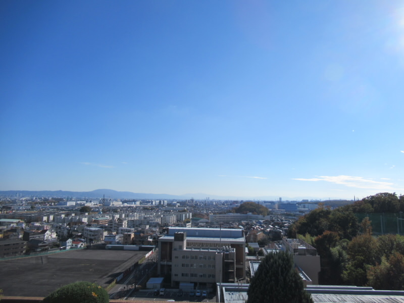 f:id:fjosh524:20201124134004j:plain