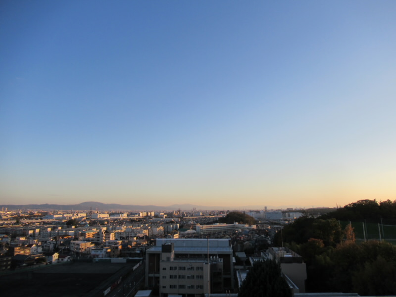 f:id:fjosh524:20201124162651j:plain