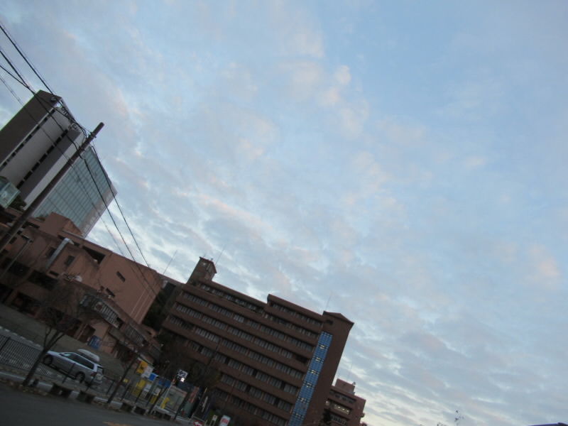f:id:fjosh524:20201125065651j:plain