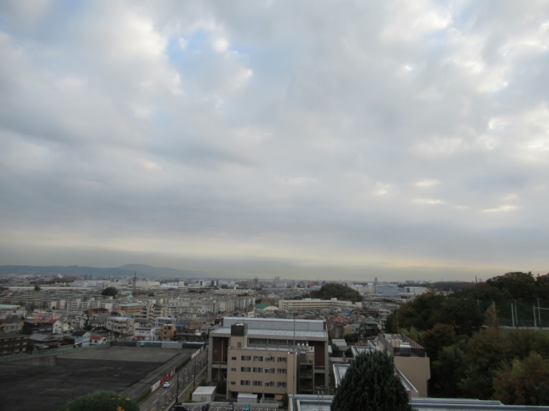 f:id:fjosh524:20201125154757j:plain