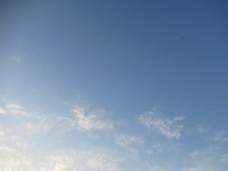 f:id:fjosh524:20210102072833j:plain