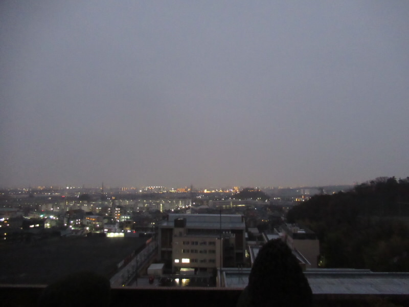 f:id:fjosh524:20210112065210j:plain